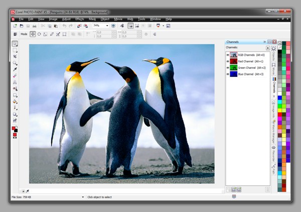 Книга по Corel PHOTO-PAINT X5