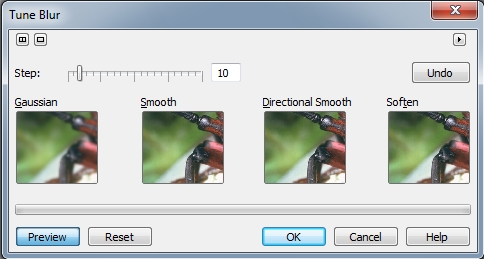 Фильтры Tune Blur (Настройка размытости) и Directional smooth (Направленное сглаживание)